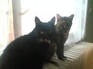  gRRRTY se �abinkou kouk� kdo je to ru��. 